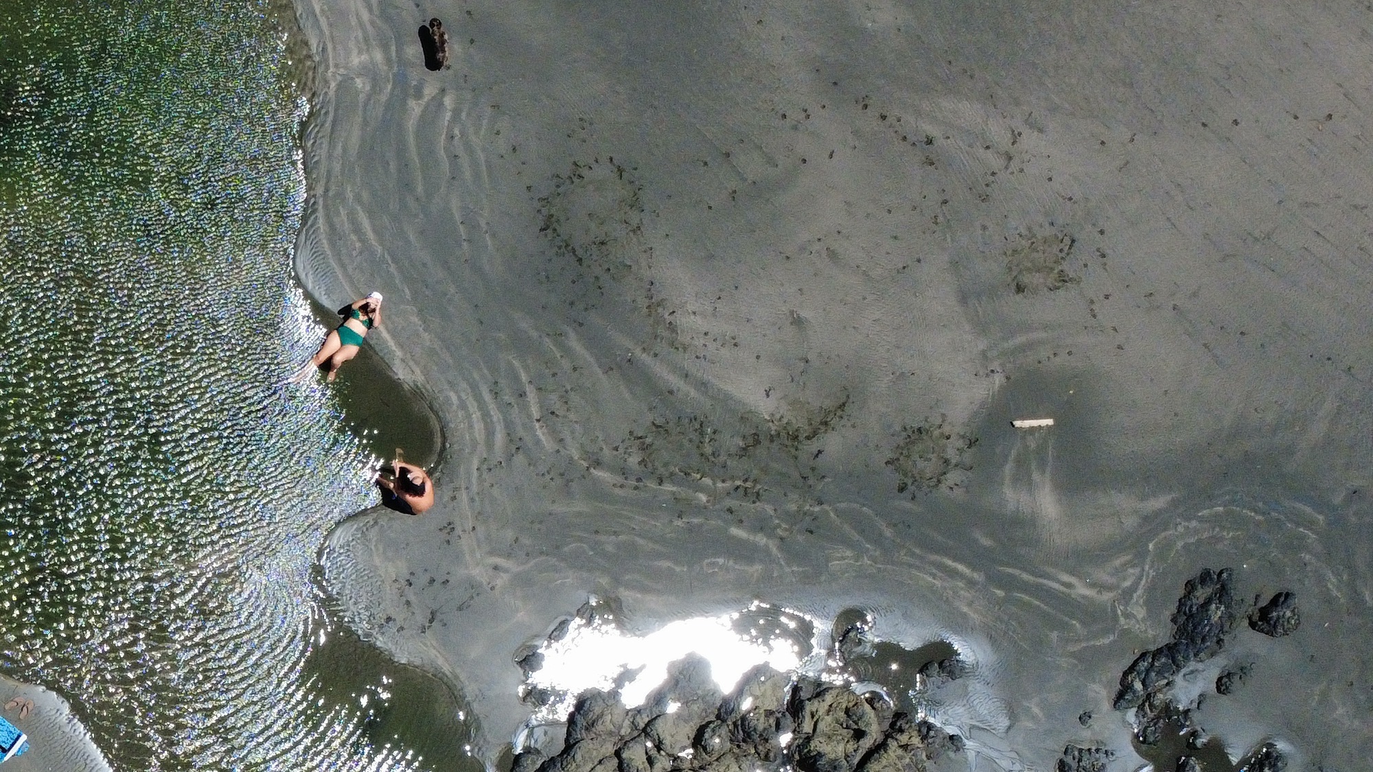 Una poza de marea en Playa Estero